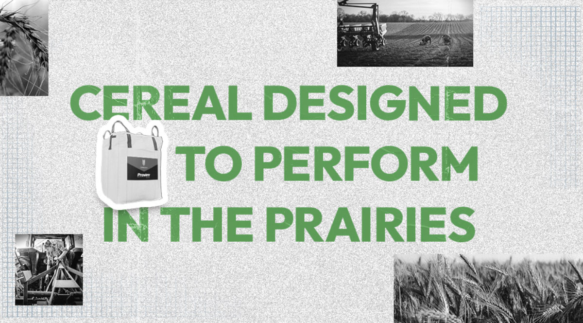 The Next Generation of Proven Canola Performance