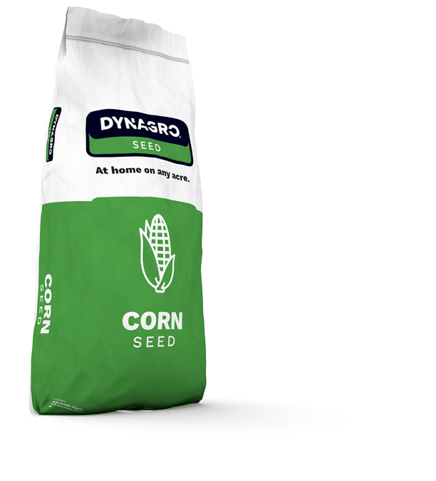 corn seed bag